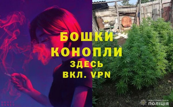дмт Горно-Алтайск