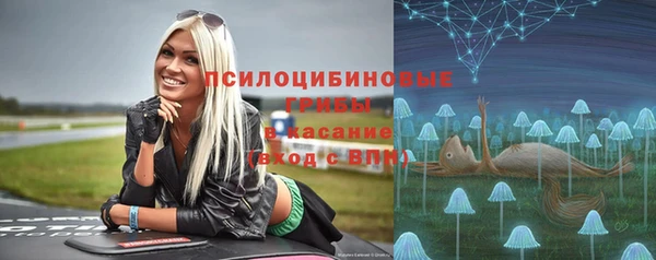 дурь Вяземский