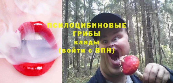 дмт Горно-Алтайск