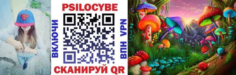 Купить закладки  Янаул  Псилоцибиновые грибы мицелий 